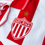 Necaxa Local 1994/95