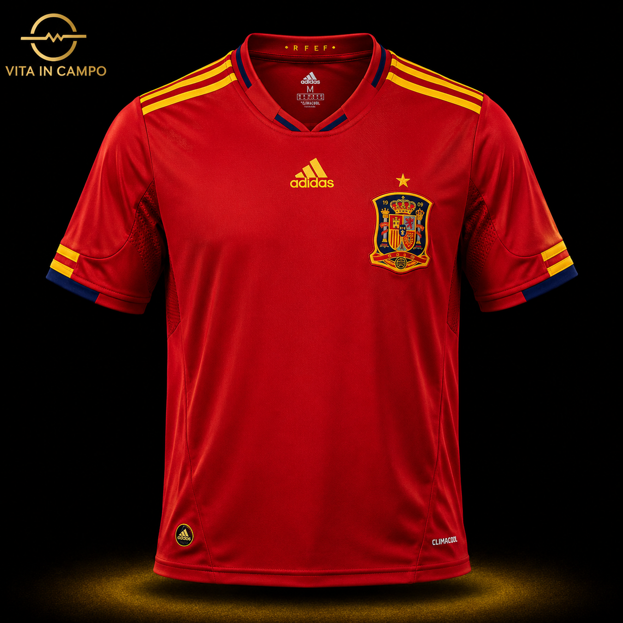 España Local 2010
