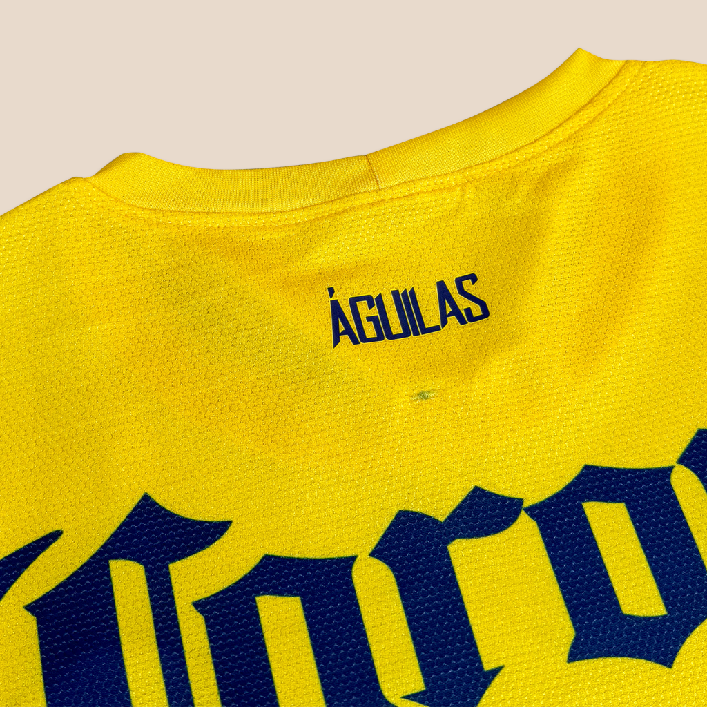 América Local 2012/13