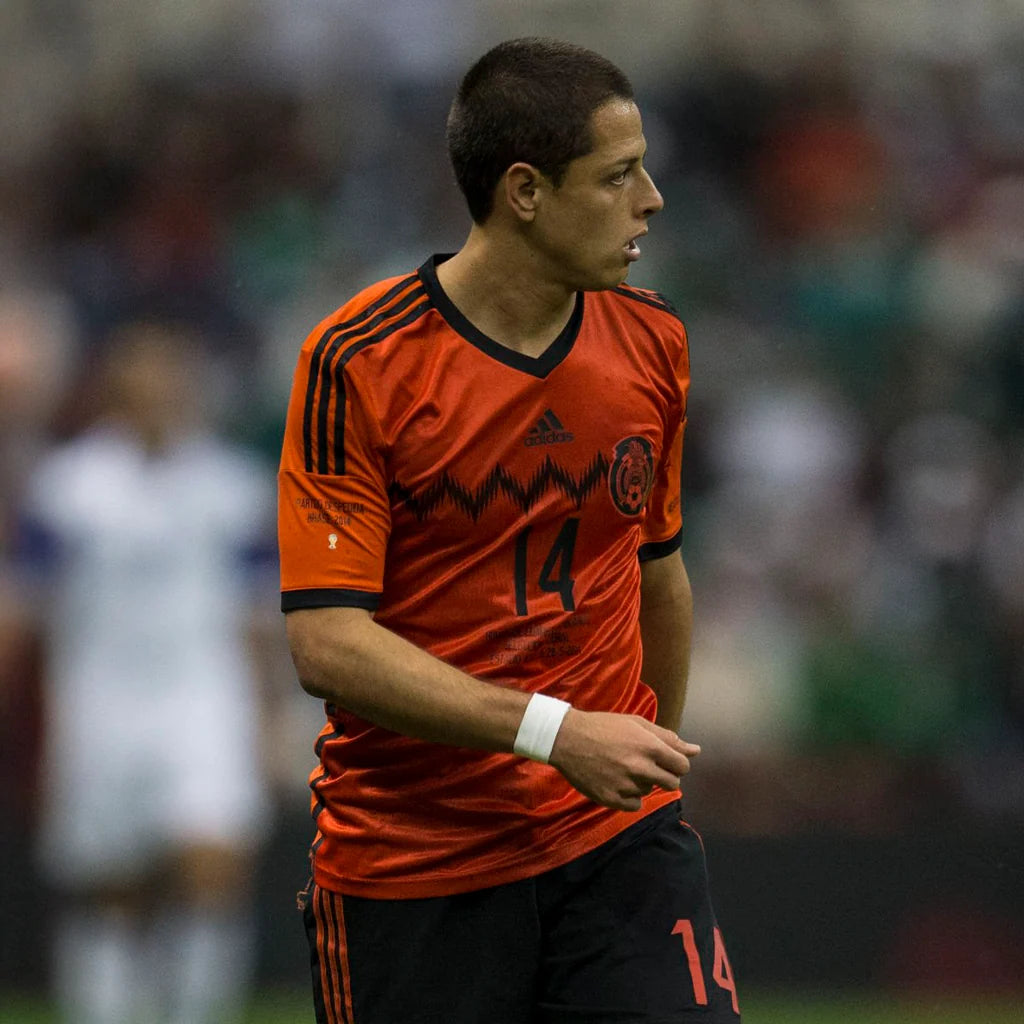 México Visita 2014