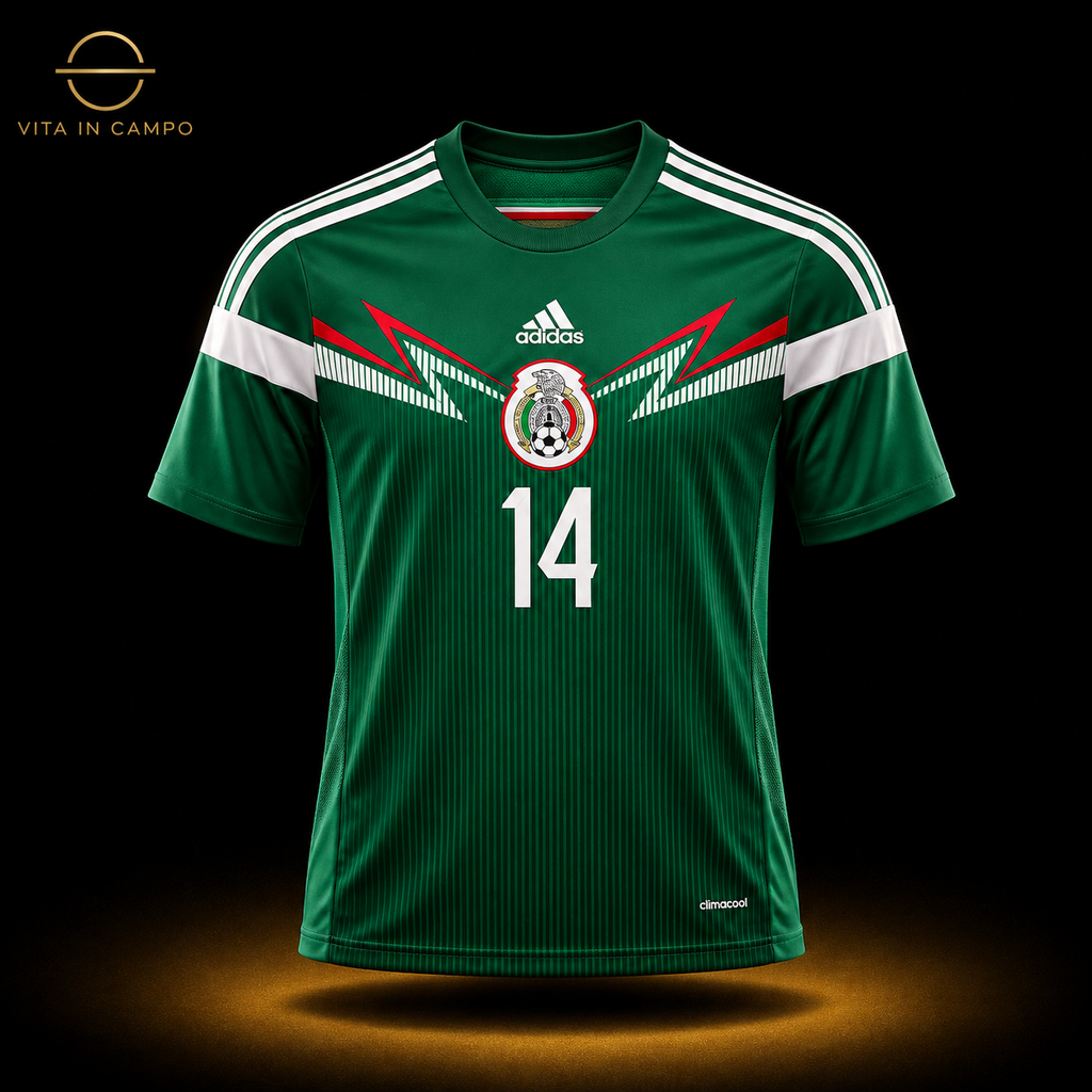 México Local 2014