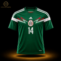 México Local 2014