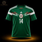 México Local 2014