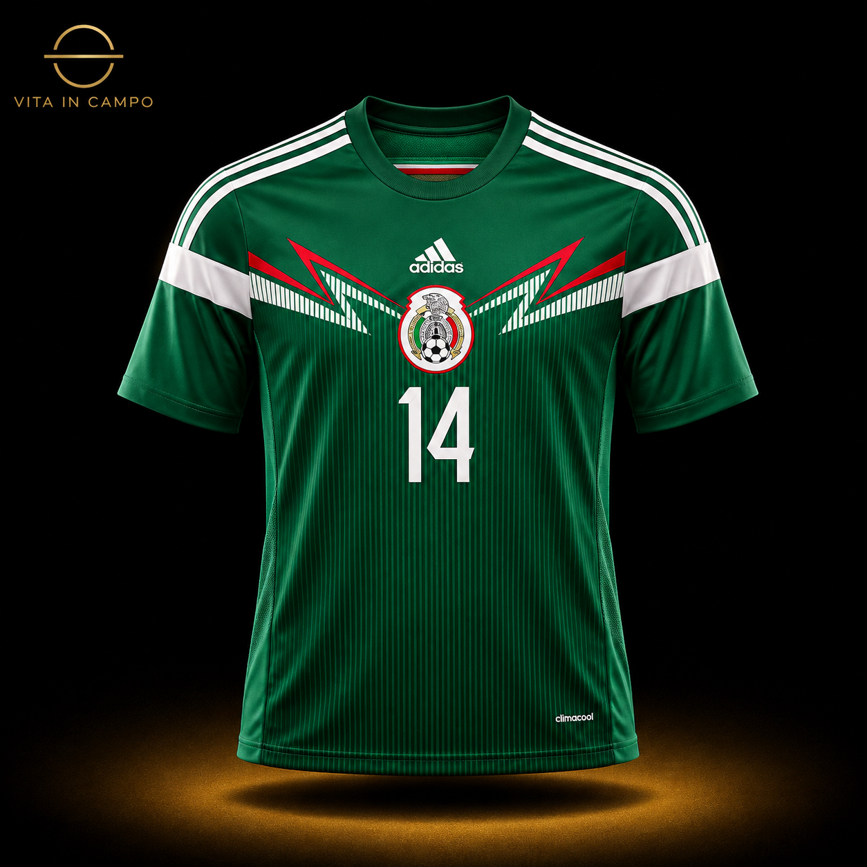 México Local 2014