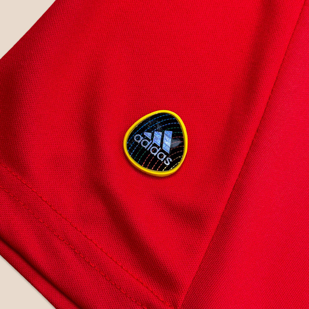 España Local 2010
