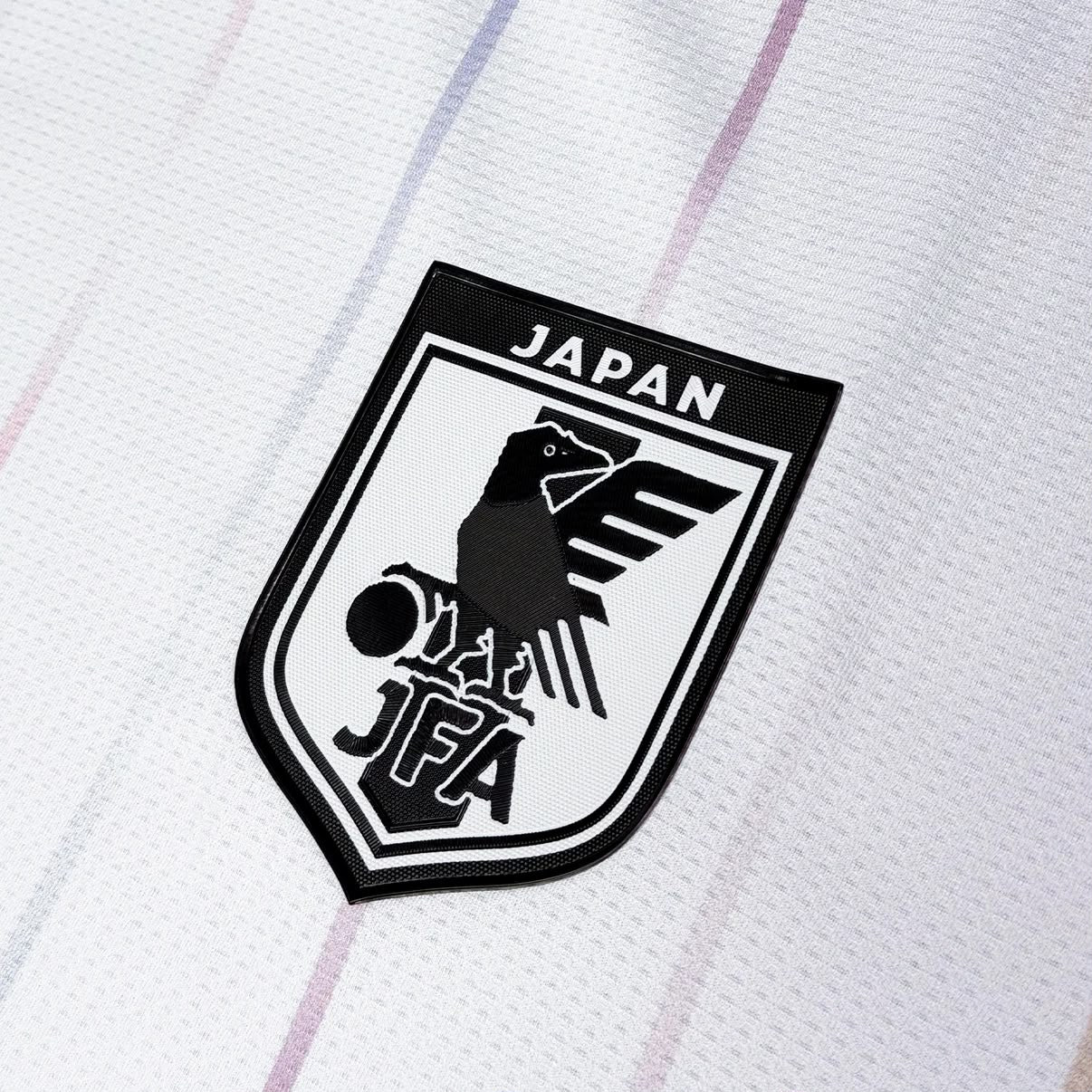 Japón Visita