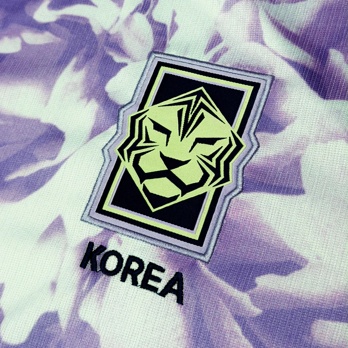 Corea del Sur visita