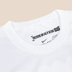 Santos 2012/13 local